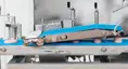 Vemag Maschinenbau FM250 | Bøfformer til formning og portionering af hakket kød til burger | Maskiner til formning af fødevareprodukter | Nemco