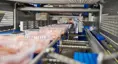 Traysealer/topforsegler til præfabrikerede bakker | Traysealer til fødevarer fra SEALPAC - Amax-serien - pakning af fjerkræ i bakker | Nemco