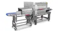 Slicer-Holac-Sect-28-CT