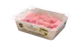 eTray (1.1)